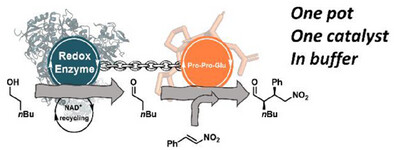 Graphical Abstract