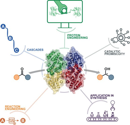 Graphical Abstract